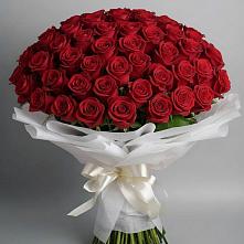 Букет 101 Красная роза Блэк Мэджик #REPLACE_PRED# Вязовой